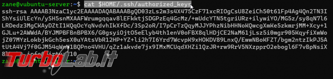 [guida] Come creare chiave SSH PC Windows, Linux, Mac accedere server senza password