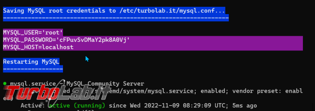 Guida: come installare MySQL 8 Ubuntu (VPS Linux, Server dedicato PC Desktop) (video)