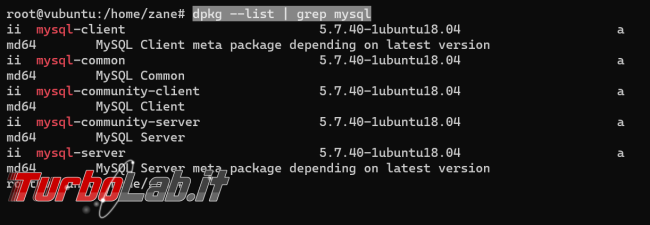 Guida: come installare MySQL 8 Ubuntu (VPS Linux, Server dedicato PC Desktop) (video)
