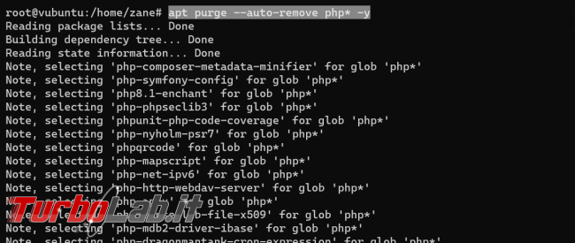 Guida: come installare PHP 8.2 Ubuntu Linux (PHP-FPM)