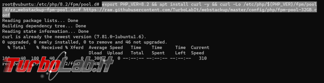 Guida: come installare PHP 8.2 Ubuntu Linux (PHP-FPM)