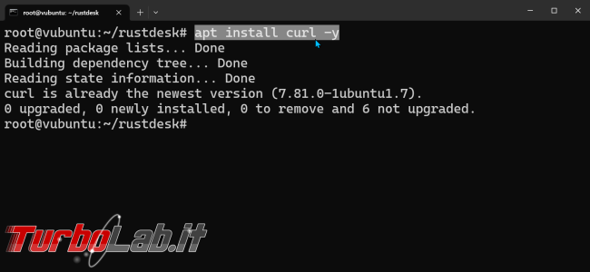 Guida: come installare RustDesk Server Ubuntu (alternativa gratuita TeamViewer, video)