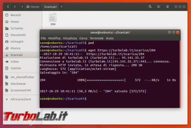 Guida curl wget, esempi: come scaricare file linea comando (Linux Ubuntu/CentOS, Windows 10, Mac)