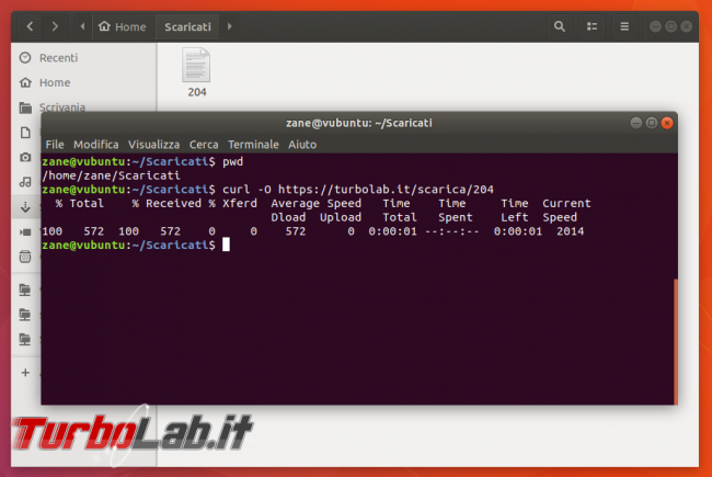 Guida curl wget, esempi: come scaricare file linea comando (Linux Ubuntu/CentOS, Windows 10, Mac)