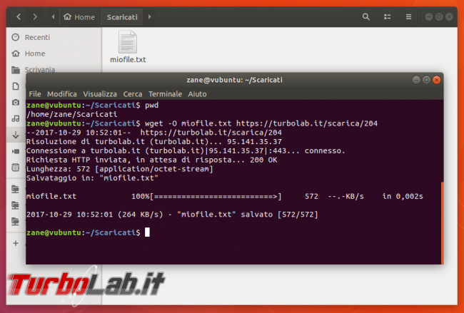Guida curl wget, esempi: come scaricare file linea comando (Linux Ubuntu/CentOS, Windows 10, Mac)