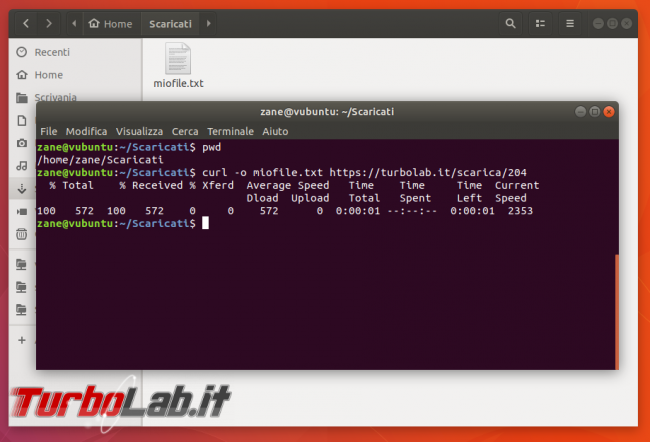 Guida curl wget, esempi: come scaricare file linea comando (Linux Ubuntu/CentOS, Windows 10, Mac)