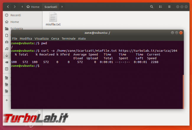 Guida curl wget, esempi: come scaricare file linea comando (Linux Ubuntu/CentOS, Windows 10, Mac)