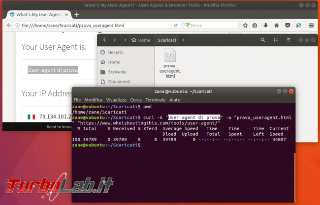 Guida curl wget, esempi: come scaricare file linea comando (Linux Ubuntu/CentOS, Windows 10, Mac)
