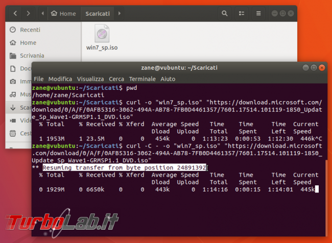 Guida curl wget, esempi: come scaricare file linea comando (Linux Ubuntu/CentOS, Windows 10, Mac)