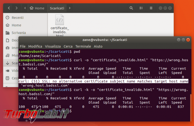 Guida curl wget, esempi: come scaricare file linea comando (Linux Ubuntu/CentOS, Windows 10, Mac)