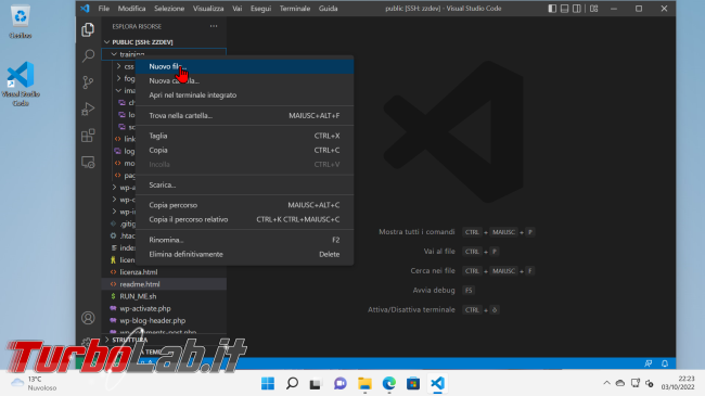 Guida Definitiva sviluppo remoto Visual Studio Code via SSH