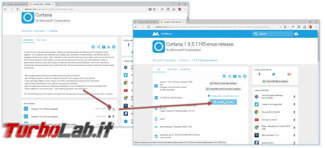 Guida: installare Cortana Android Italia (APK originale Microsoft) - cortana apkmirror