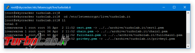 Guida: installare Resilio Sync (BitTorrent Sync) server Linux tramite linea comando (CentOS/Ubuntu): accettare connessioni remoto interfaccia web, attivare HTTPS, limitare indirizzi IP - letsencrypt files