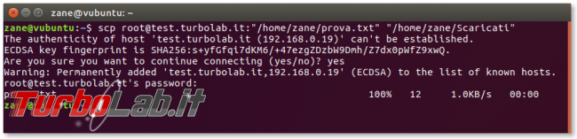 Guida SFTP/SCP, esempi: download upload file via SSH linea comando (Linux Ubuntu/CentOS) - Schermata del 2017-09-26 09-55-05