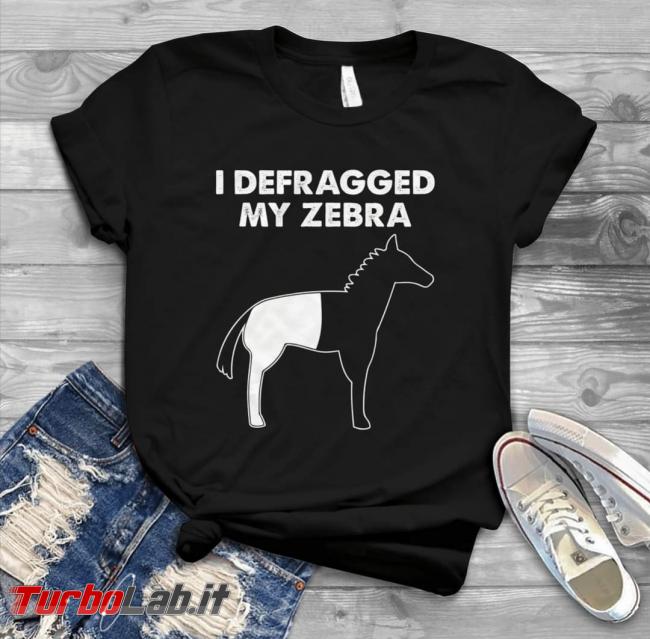 Humour meme informatici, programmatori smanettoni - defragged my zebra