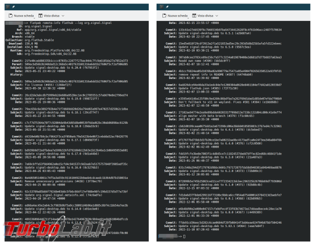 [LINUX] Guida completa Flatpak