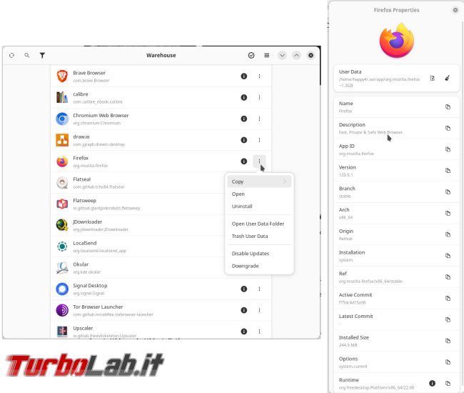 [LINUX] Guida completa Flatpak