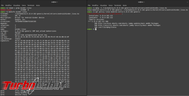 [LINUX] Guida Waydroid: usa app Android Linux