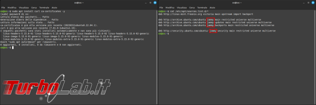 [LINUX] Guida Waydroid: usa app Android Linux
