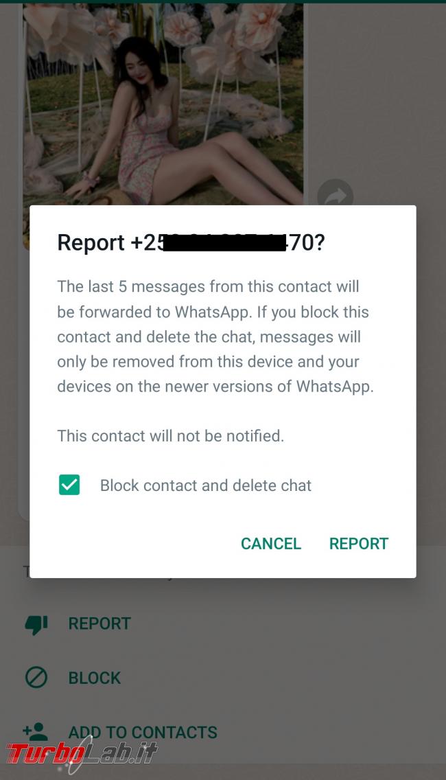Messaggio spam WhatsApp: Ciao, non ti sento molto tempo. Puoi fare clic aggiungermi contatti - Screenshot_2022-01-12-10-32-34-176_com.whatsapp