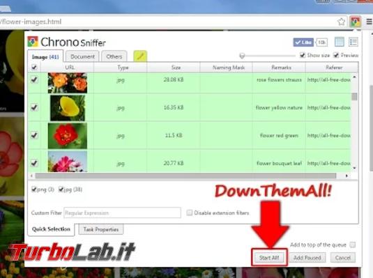 migliori download manager Firefox Chrome - download manager chrome