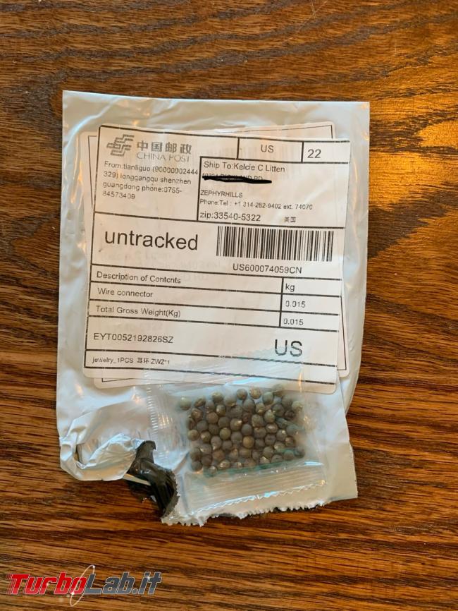 mistero pacchetti semi sospetti - china-seeds-_-kelcie-litten-1