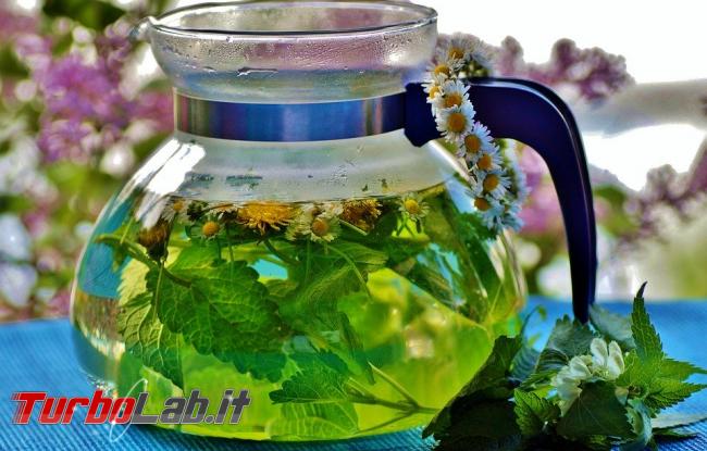 Morire fake news (bevendo intruglio contro Covid-19) - herbal-3504948_960_720