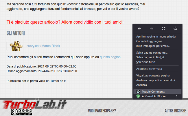 Nascondi commenti articoli pagine web
