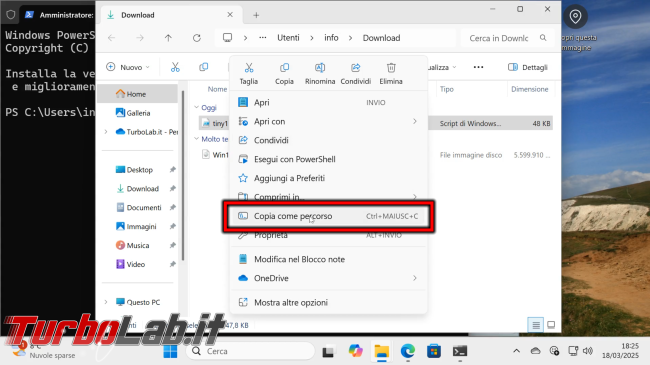 nuova vita vecchi PC Windows 11 &quot;leggero&quot;! Guida Tiny 11 (video)