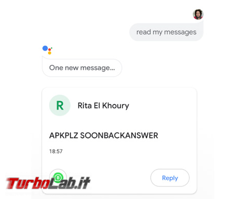Ora Google Assistant legge messaggi Telegram WhatsApp ( solo inglese) - Annotazione 2019-08-05 152115