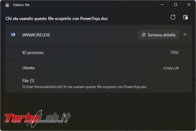 PowerToys puoi scoprire chi sta utilizzando file sbloccarlo