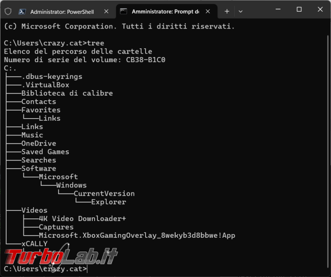 PowerTree, modulo PowerShell, vedere struttura albero file cartelle