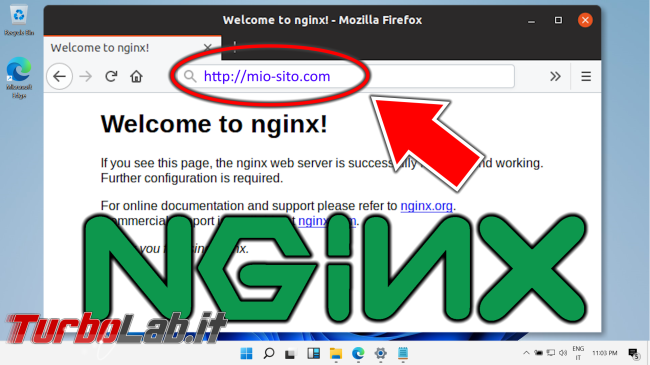 Questa settimana TLI (19 ottobre 2024) - COME INSTALLARE UN SERVER WEB La Guida Definitiva per configurare NGINX cover Questa settimana TLI (19 ottobre 2024) - COME INSTALLARE UN SERVER WEB La Guida Definitiva per configurare NGINX cover