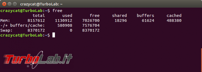 Raccogliere informazioni Ubuntu direttamente terminale