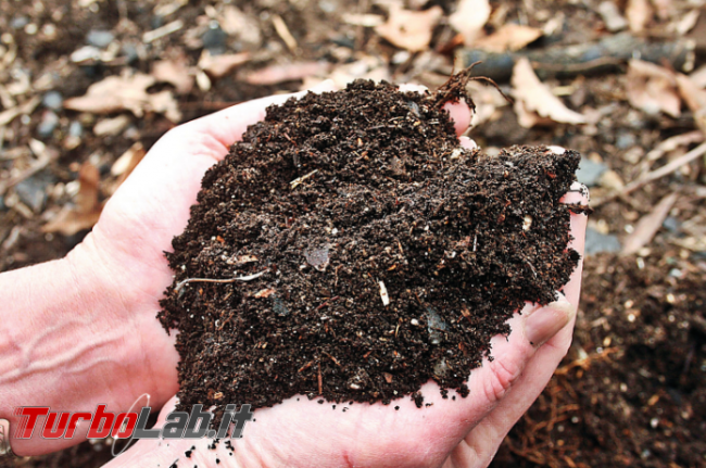 Riempiva terra scatole resi. Truffa colossale danni Amazon - Annotazione 2019-08-08 082459