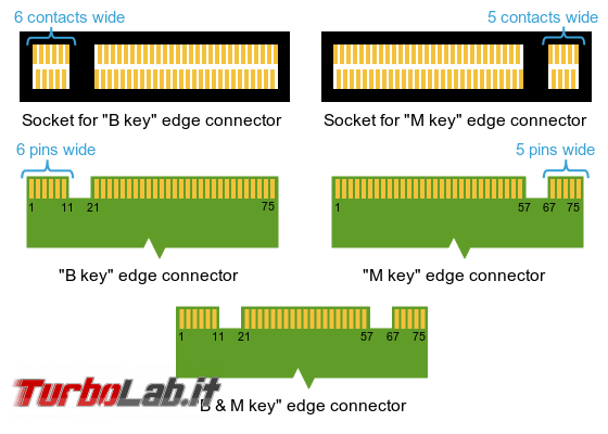 [risolto] Come scoprire se PC / notebook è compatibile SSD NVMe M.2 PCIe (Samsung EVO ecc.) - M2_Edge_Connector_Keying