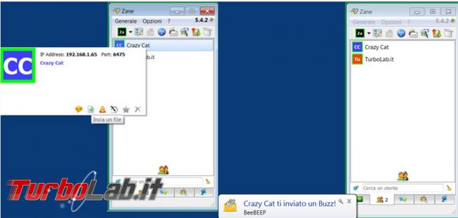Scambia messaggi, condividi file desktop computer rete grazie BeeBEEP
