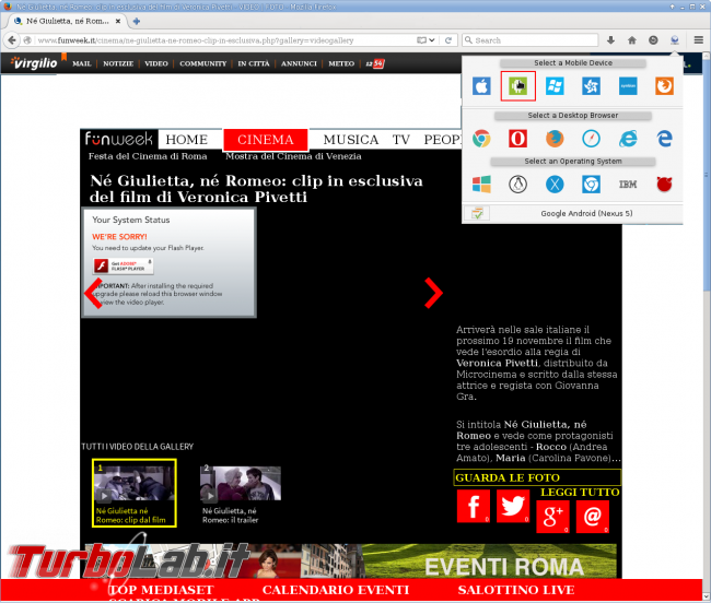 Si può fare meno Flash Player?