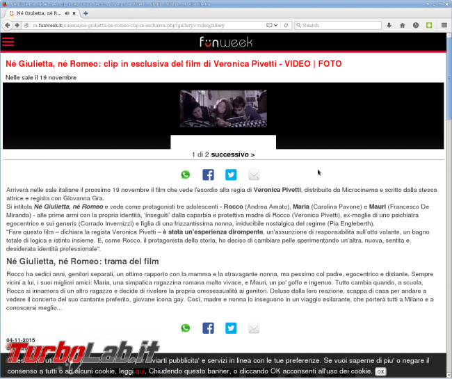 Si può fare meno Flash Player?