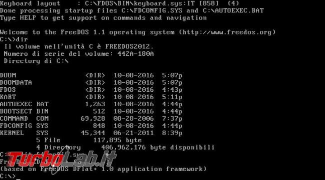 storia Windows, origini: MS-DOS