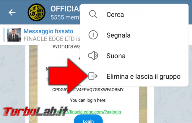 Telegram: come bloccare gruppi spam impedire mi aggiungano automaticamente - Screenshot_20180815-181709
