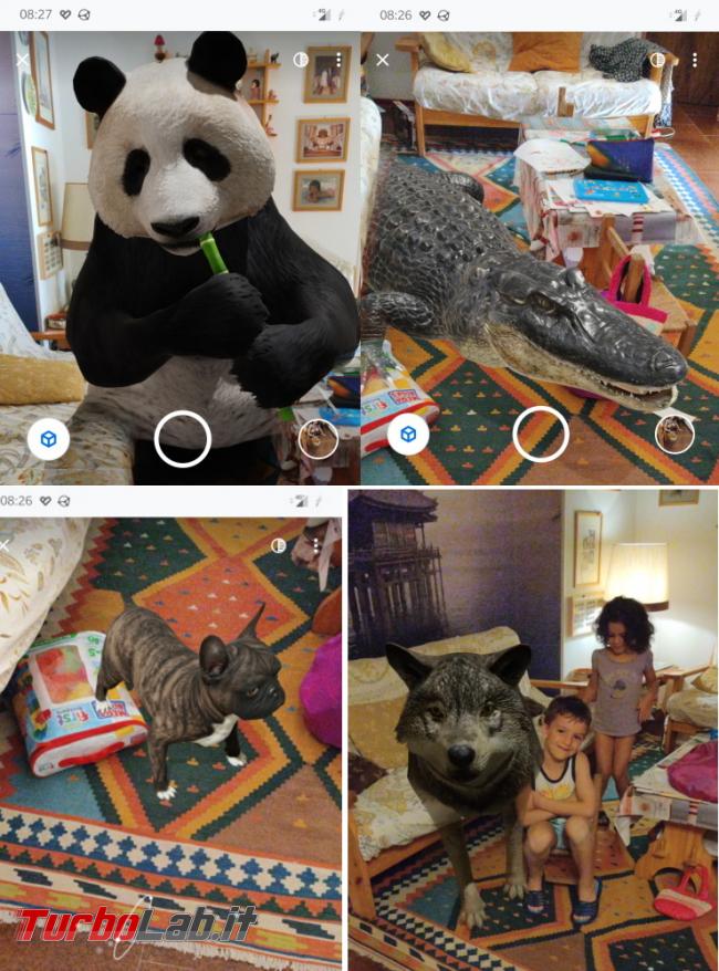Trasforma casa zoo Google