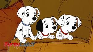 truffa cuccioli online