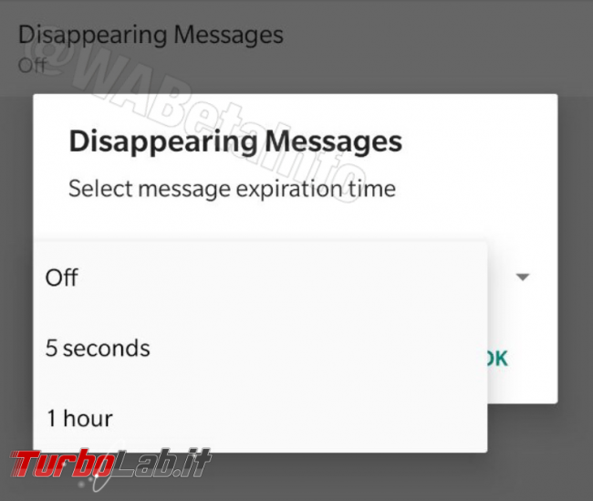 WhatsApp: questo messaggio si autodistruggerà 3, 2, 1.... - FrShot_1569948443