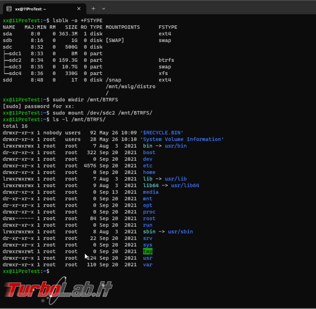 [WINDOWS] Come accedere partizioni formattate btrfs