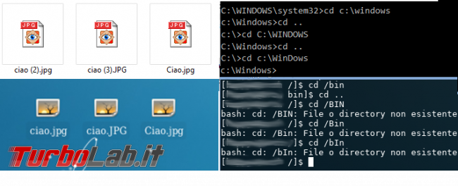 Windows Linux: 10 principali differenze