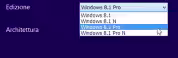 Windows Installation Media Creation Tool edizioni