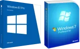 windows professional