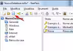 2017-03-13 16_52_17-NuovoDatabase.kdbx_ - KeePass