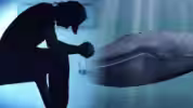 blue-whale